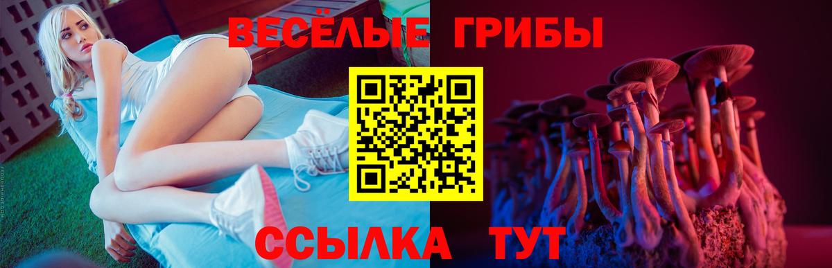 Псилоцибиновые грибы мицелий  Вход с VPN  Псилоцибиновые грибы Psilocybine cubensis  Южно-Сахалинск 